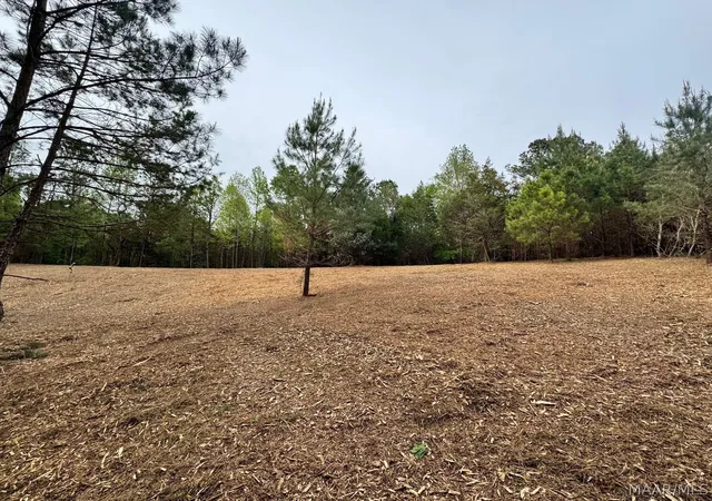 1st image of 00 W Sprague Junction Rd, Ramer, AL 36043 | MLS# 587777