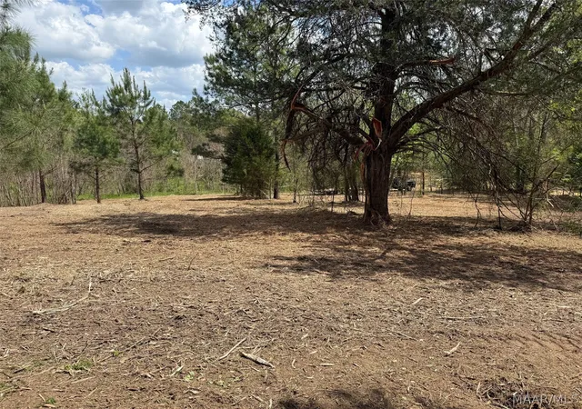 2nd image of 00 W Sprague Junction Rd, Ramer, AL 36043 | MLS# 587777