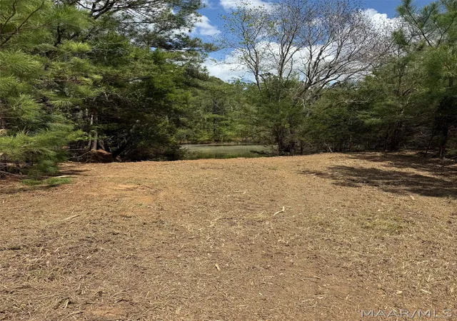 3rd image of 00 W Sprague Junction Rd, Ramer, AL 36043 | MLS# 587777