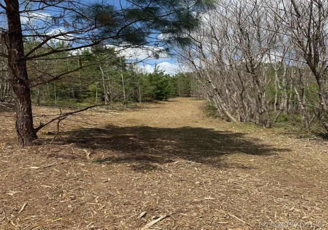 4th image of 00 W Sprague Junction Rd, Ramer, AL 36043 | MLS# 587777