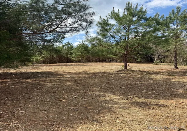 5th image of 00 W Sprague Junction Rd, Ramer, AL 36043 | MLS# 587777