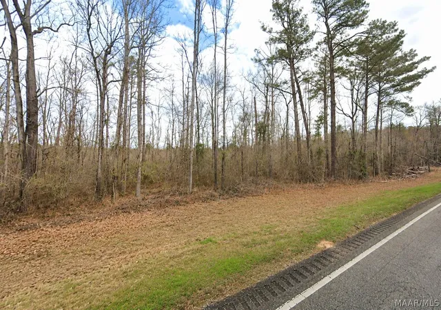 4th image of 21/47 Hwy 21 Hwy, Beatrice, AL 36425 | MLS# 587854