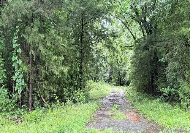 Photo 2 of Land for sale at 0 Sherling Lake Rd, Greenville, AL 36037 | MLS# 587913 | Listing updated on 2026-07-23