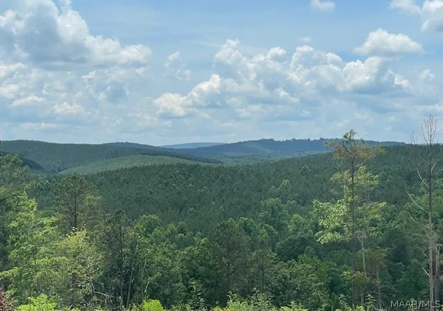 1st image of 5000 Mines Rd, Ashland, AL 36251 | MLS# 587998