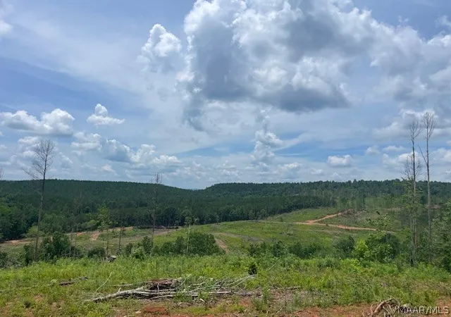 2nd image of 5000 Mines Rd, Ashland, AL 36251 | MLS# 587998