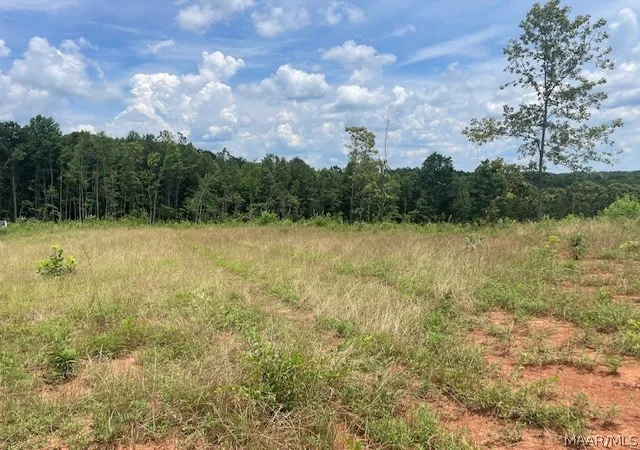 37th image of 5000 Mines Rd, Ashland, AL 36251 | MLS# 587998