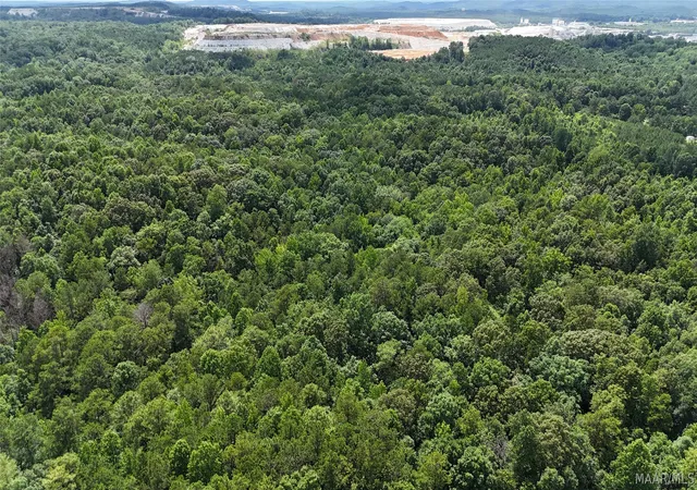 4th image of 16 Oakview Cir, Sylacauga, AL 35151 | MLS# 588020
