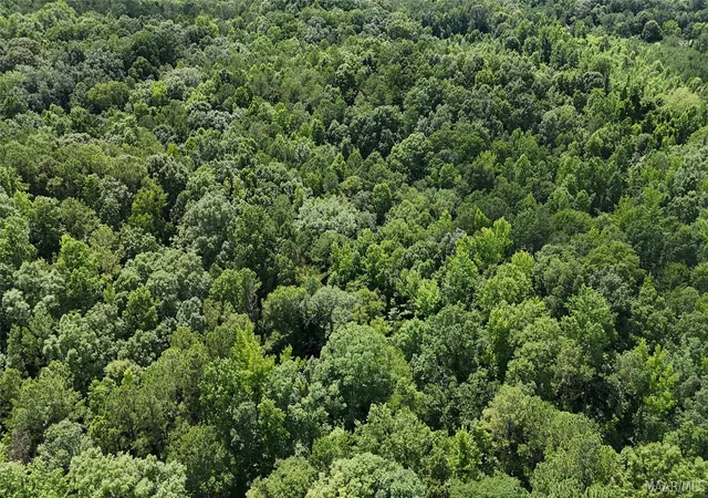5th image of 16 Oakview Cir, Sylacauga, AL 35151 | MLS# 588020