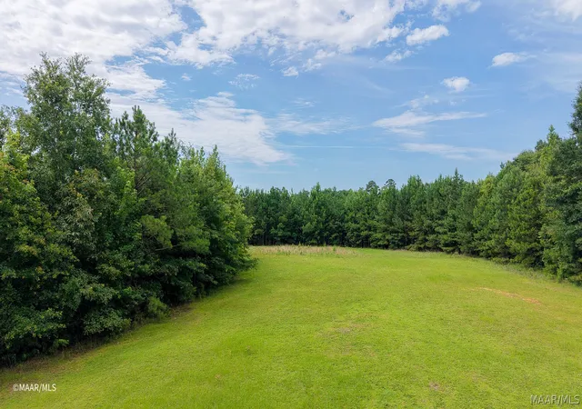 5th image of 31201 Hwy 43, Thomasville, AL 36784 | MLS# 587970