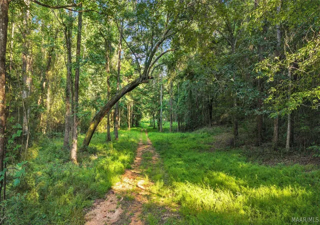 1st image of O Burt Mill Rd, Tallassee, AL 36078 | MLS# 588031