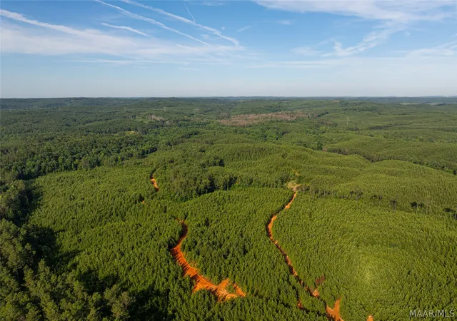 Homes for sale in West Blocton, AL | 00 Bishop Ridge Rd, West Blocton, AL 35184 | MLS# 587794