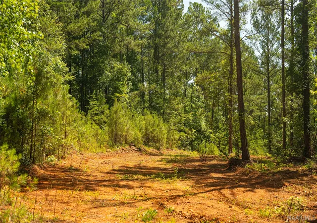 Homes for sale in West Blocton, AL | 000 Bishop Ridge Rd, West Blocton, AL 35184 | MLS# 587801