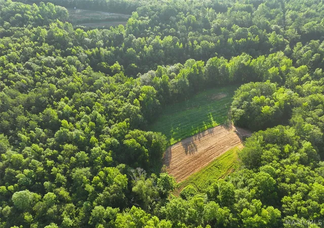 1st image of 34 Hunter Loop Rd, Marbury, AL 36051 | MLS# 588149
