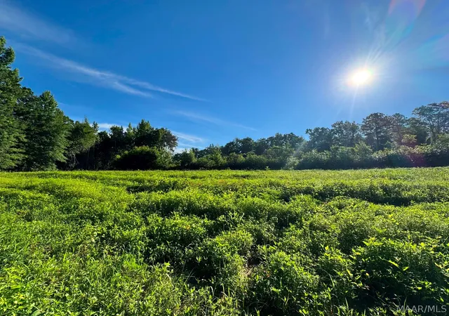 4th image of 34 Hunter Loop Rd, Marbury, AL 36051 | MLS# 588149