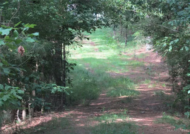5th image of 1715 Sprague Junction Rd, Ramer, AL 36069 | MLS# 588185