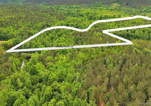Photo 2 of Land for sale at 0 County Rd 257, Clanton, AL 35046 | MLS# 588193 | Listing updated on 2026-08-15