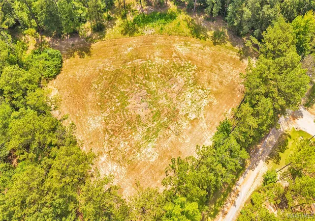10th image of 0 Mockingbird Ln, Eclectic, AL 36024 | MLS# 588208