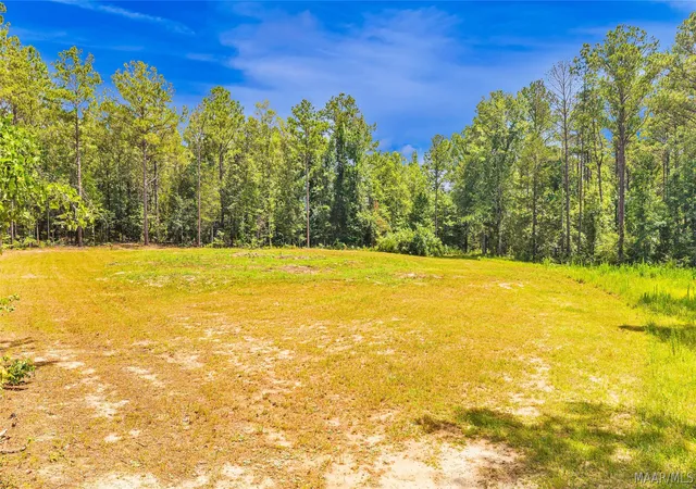 4th image of 0 Mockingbird Ln, Eclectic, AL 36024 | MLS# 588208
