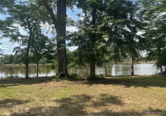 5th image of 119 Brookwood Dr, Camden, AL 36726 | MLS# 588286