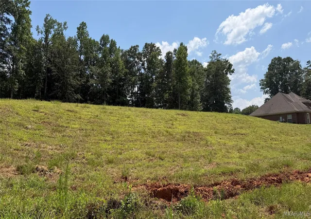 Homes for sale in Greenville, AL | 0 Springwood Dr, Greenville, AL 36037 | MLS# 588292