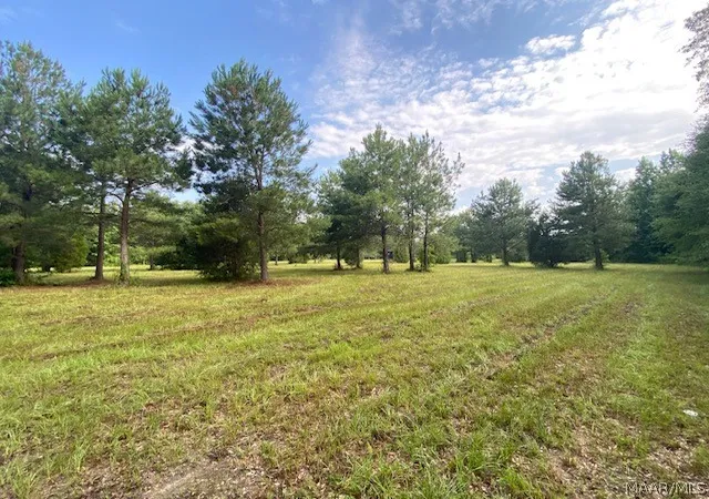 Homes for sale in Shorter, AL | 381 Hooks Rd, Shorter, AL 36075 | MLS# 588162