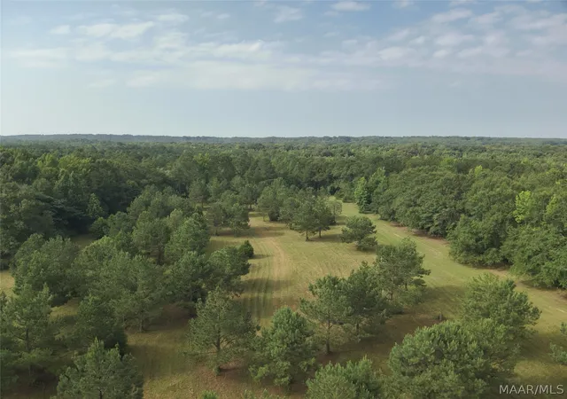 Homes for sale in Shorter, AL | 381 Hooks Rd, Shorter, AL 36075 | MLS# 588162