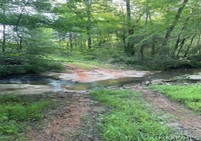 Homes for sale in Dadeville, AL | 2200 Booger Hollow Rd, Dadeville, AL 36853 | MLS# 588399