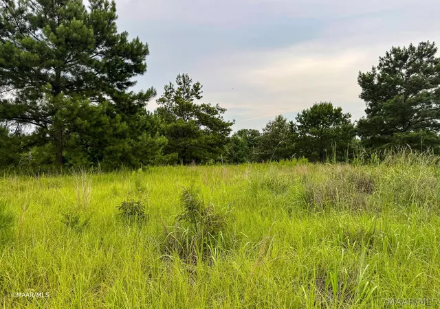 14th image of Lot 66 Legacy Shores, Alberta, AL 36720 | MLS# 587880