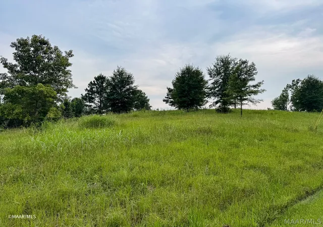 Photo 3 of Land for sale at Lot 66 Legacy Shrs, Alberta, AL 36720 | MLS# 587880 | Listing updated on 2026-08-28