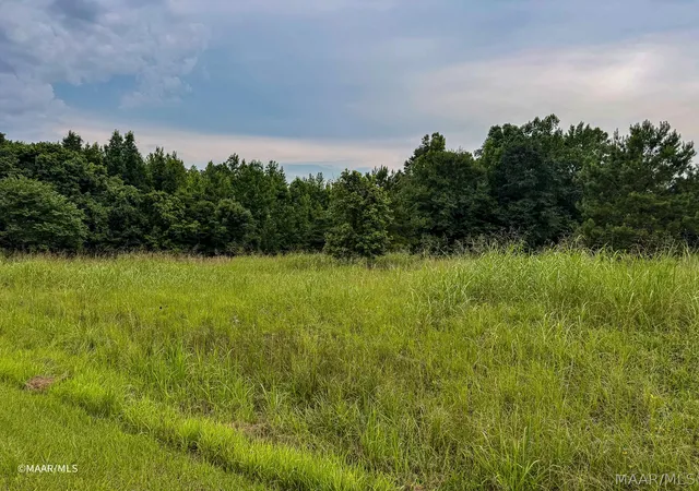 Photo 4 of Land for sale at Lot 66 Legacy Shrs, Alberta, AL 36720 | MLS# 587880 | Listing updated on 2026-08-28
