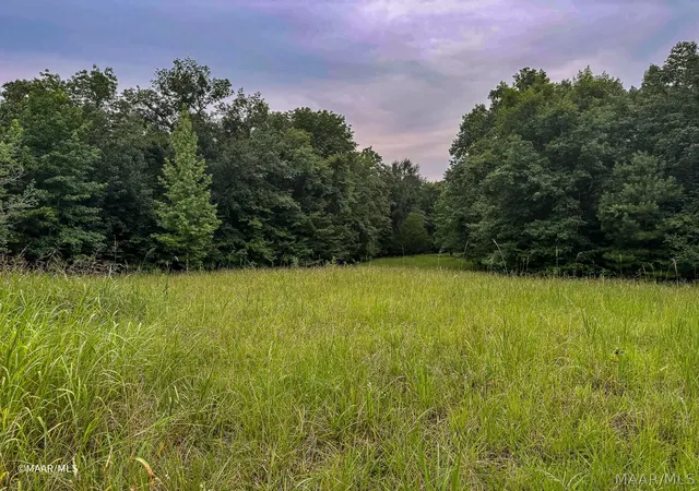Photo 2 of Land for sale at Lot 48 Legacy Shrs, Alberta, AL 36720 | MLS# 587708 | Listing updated on 2026-08-28