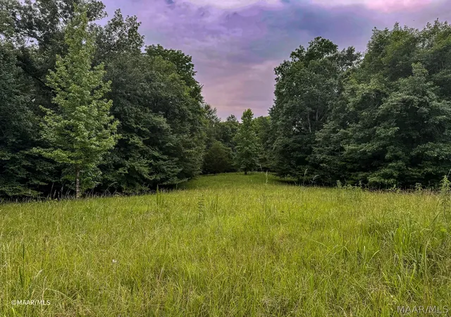 Photo 3 of Land for sale at Lot 48 Legacy Shrs, Alberta, AL 36720 | MLS# 587708 | Listing updated on 2026-08-28