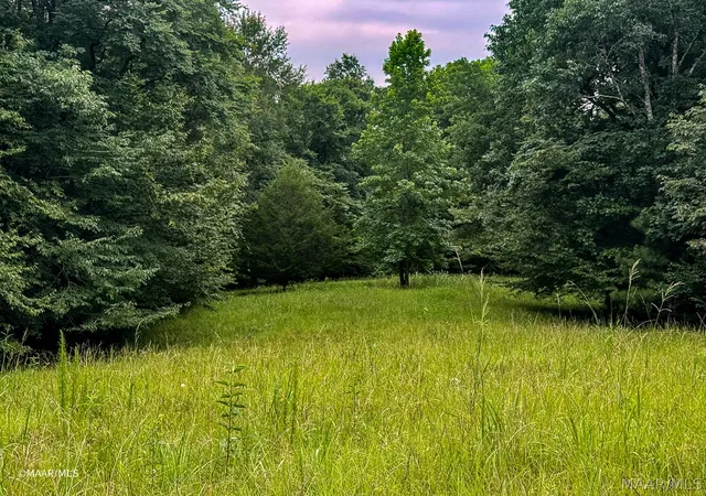 Photo 4 of Land for sale at Lot 48 Legacy Shrs, Alberta, AL 36720 | MLS# 587708 | Listing updated on 2026-08-28