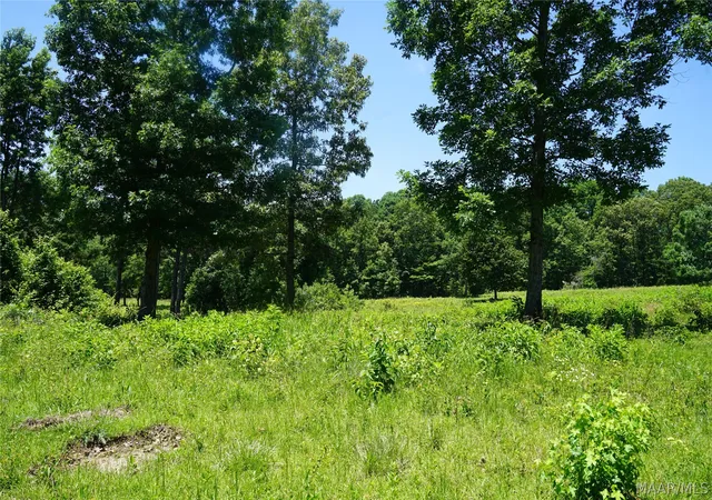 1st image of 150 Lindsey Rd, Eclectic, AL 36024 | MLS# 588588