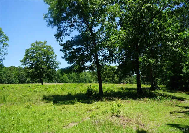 2nd image of 150 Lindsey Rd, Eclectic, AL 36024 | MLS# 588588