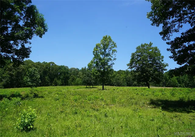 3rd image of 150 Lindsey Rd, Eclectic, AL 36024 | MLS# 588588