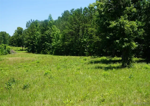 4th image of 150 Lindsey Rd, Eclectic, AL 36024 | MLS# 588588