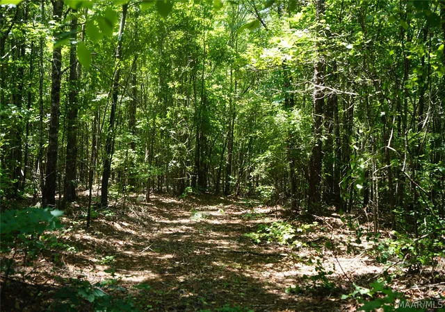 5th image of 150 Lindsey Rd, Eclectic, AL 36024 | MLS# 588588