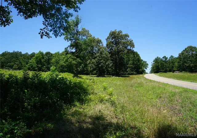 7th image of 150 Lindsey Rd, Eclectic, AL 36024 | MLS# 588588