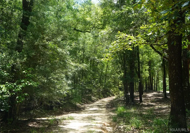 Photo 1 of Land for sale at 10028 Buster Aplin, Florala, AL 36442 | MLS# 588594 | Listing updated on 2026-08-28