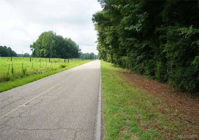 14th image of 64 Airport Rd S, Lapine, AL 36046 | MLS# 588659