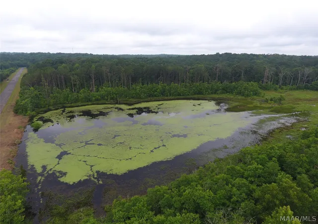 Photo 3 of Land for sale at 64 Airport Rd S, Lapine, AL 36046 | MLS# 588659 | Listing updated on 2026-08-28