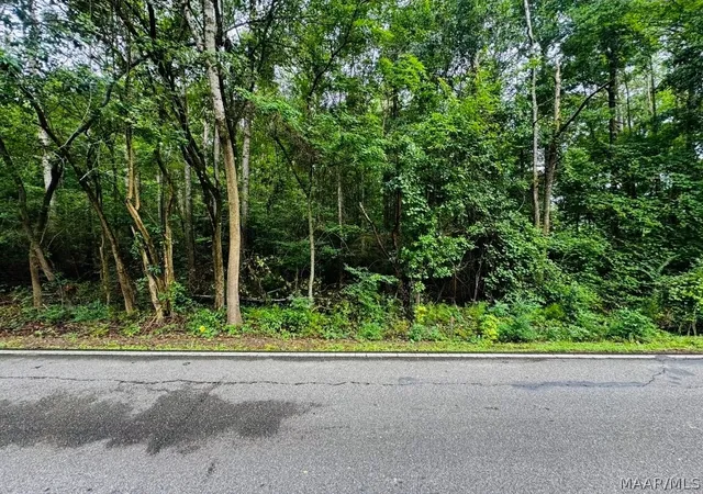 5th image of 321 Central Ave, Eclectic, AL 36024 | MLS# 588634