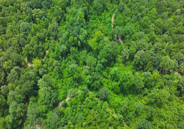 43rd image of 3528 County Rd 44, Autaugaville, AL 36003 | MLS# 588541