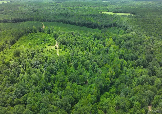 4th image of 3528 County Rd 44, Autaugaville, AL 36003 | MLS# 588541