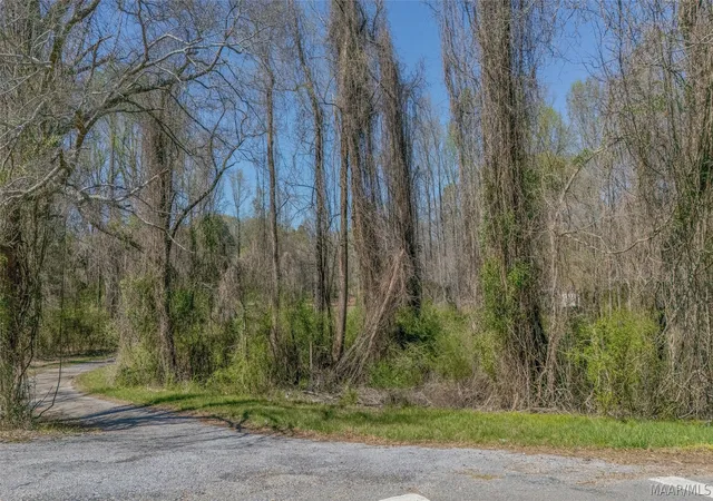 4th image of 0 County Road 63 Road, Marbury, AL 36051 | MLS# 588746