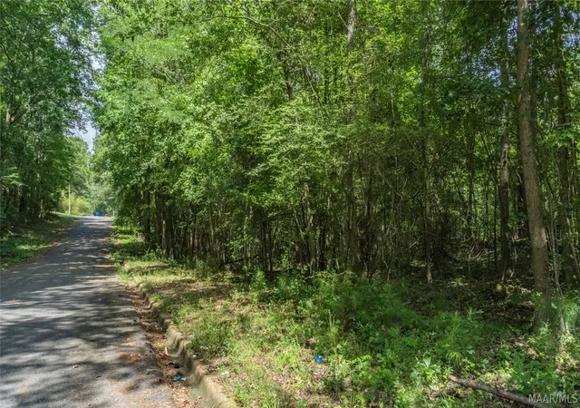 18th image of 0 Ruby Dr, Cottondale, AL 35453 | MLS# 588662