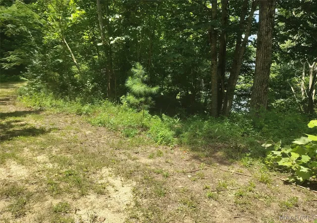 7th image of 956 Bowden Hill Rd, Titus, AL 36080 | MLS# 588766