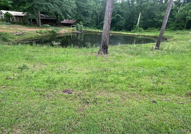 2nd image of 198 W Ridge Dr, Dadeville, AL 36853 | MLS# 588279