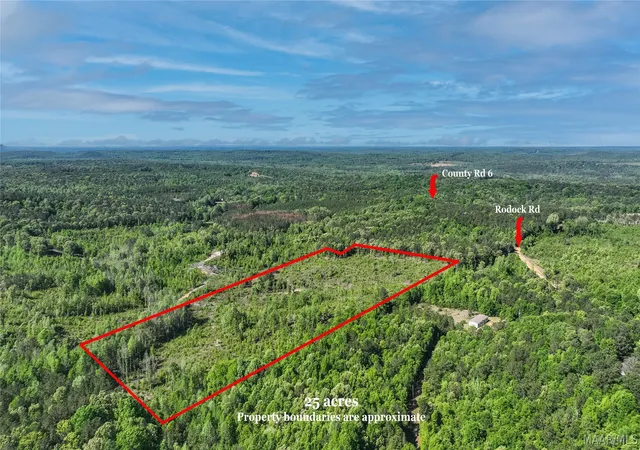 10th image of 1 County Road 6, Prattville, AL 36067 | MLS# 588831
